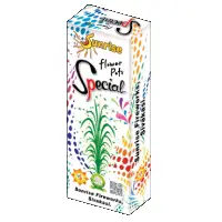 Flower Pots Special - 10 Pcs/Box