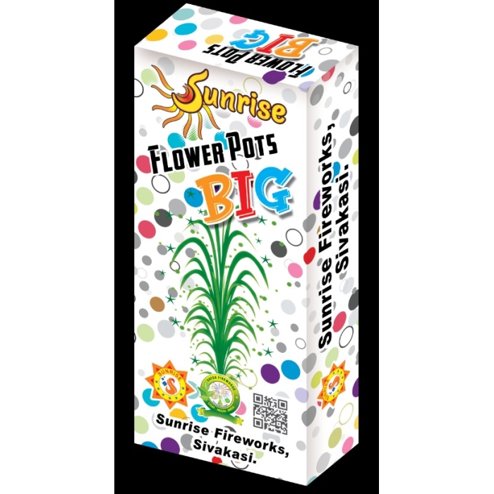 Flower Pots Big - 10 Pcs/Box